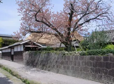 Rue traditionnelle de Shimabara Rue traditionelle