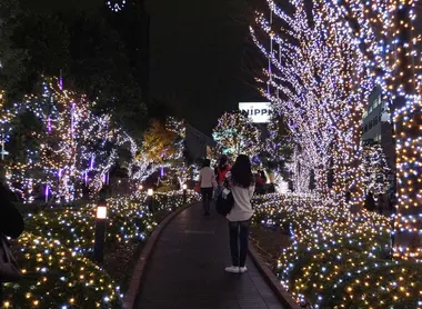 Les illuminations de Shinjuku