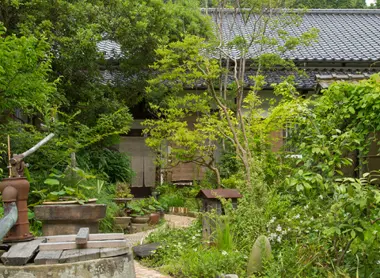 Le jardin du Gungendo