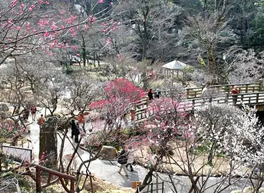 Le parc d'Atami en hiver Atama Baien en hiver