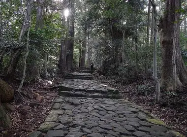 La ruta Daimonzaka que lleva al complejo de templos Nachi. La ruta Daimonzaka que lleva al complejo de templos Nachi.