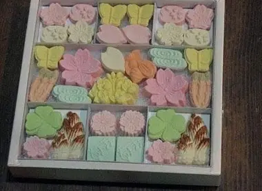 Wasanbon