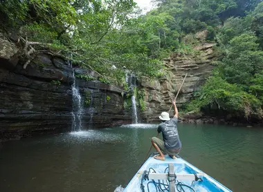 La jungle de l'île d'Iriomote