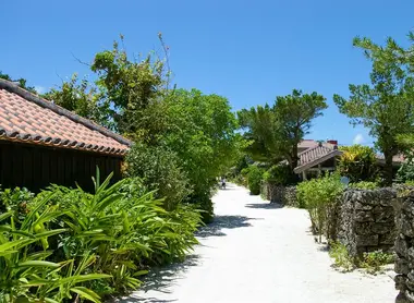 Traditional houses on the island of Taketomi Traditional houses on the island of Taketomi