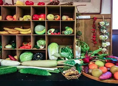 faux aliments japonais