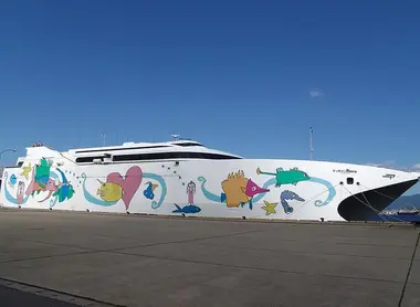 Existe una gran cantidad de compañías que conectan las diferentes ciudades con los pueblos de los alrededores.