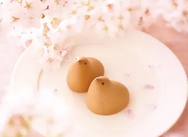 Le gâteau Hiyoko en forme de poussin