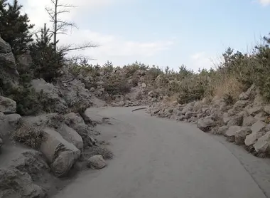 Un chemin recouvert de cendre sur le Sakurajima Un chemin recouvert de cendre sur le Sakurajima