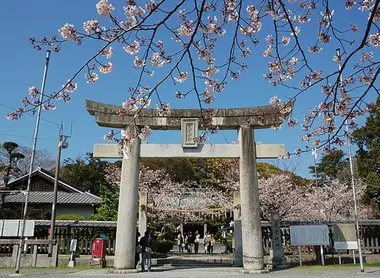 Le torii du sanctuaire de Terumo Le torii du sanctuaire de Terumo