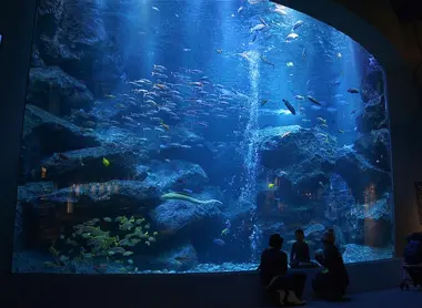 Tokyo Sumida Aquarium Tokyo Sumida Aquarium