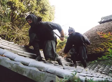 Togakure, l'école des ninjas