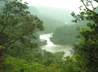 Les chutes Kampire, Iriomote
