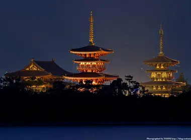 le toto du Yakushi-ji le toto du Yakushi-ji