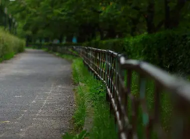 Les allées du Minami Temma Park