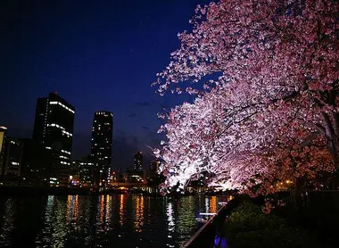 Le parc Minami Temma de nuit