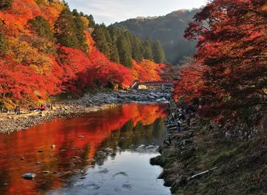 La impresionante vista del puente Taigetsukyo y los arces de Korankei. La impresionante vista del puente Taigetsukyo y los arces de Korankei.