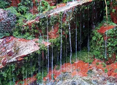 Lors de la balade, des filets d'eau ruissellent le long des pierres qui bordent le chemin.