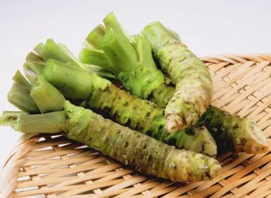 Las raíces de wasabi deben mantenerse en el refrigerador en una taza de agua para mantener su frescura. Las raíces de wasabi deben mantenerse en el refrigerador en una taza de agua para mantener su frescura.