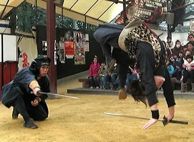 Los ninjas de Iga Los ninjas de Iga