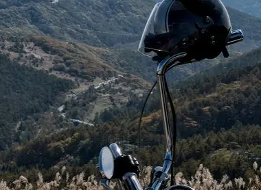 La Venus Line La Venus Line