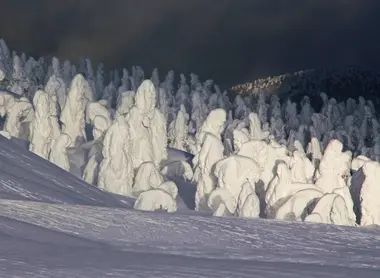 Les Yuki Monsters de Zaô Onsen