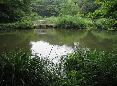 Institut d’Etude de la nature, Meguro