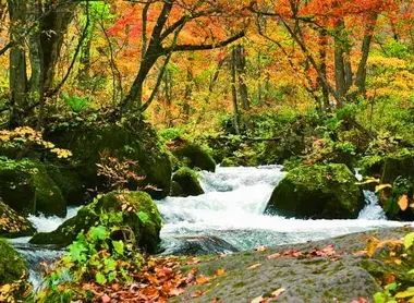 Oirase Keiryu à l'automne Oirase Keiryu à l'automne