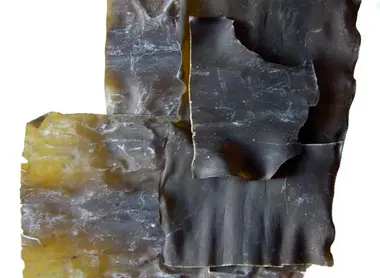 Les fameuses algues kombu.