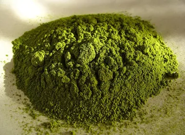 La thé matcha à l'état de poudre La thé matcha à l'état de poudre