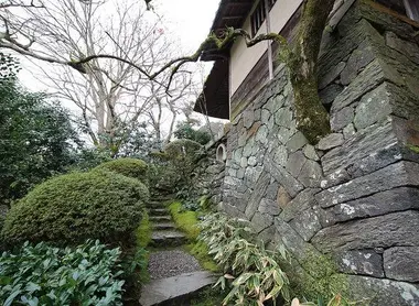 L'étonnante façade de la villa d'où un arbre sort.