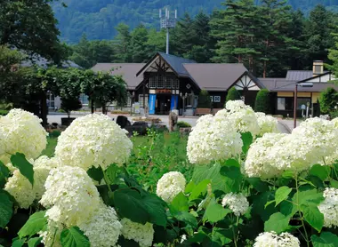 Les michi no eki sont souvent arborées et garnies de fleurs.