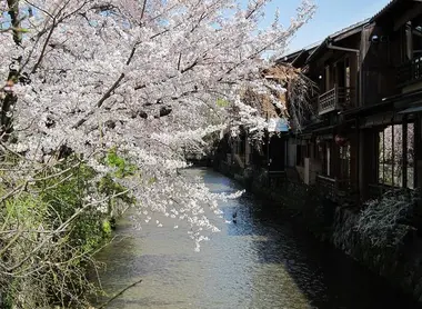 Le canal de Shirakawa à Kyoto. Le canal de Shirakawa à Kyoto.