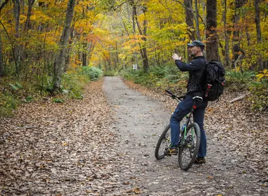 Les forêts proches du lac Shikotsu où l'on peut se balader en vélo