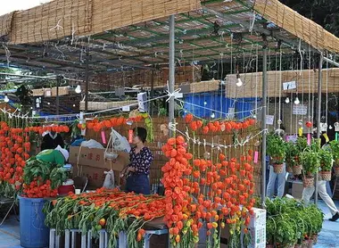 Le marché Hôzuki au Senso-ji