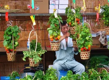 Le marché Hôzuki au Senso-ji