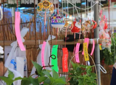 Furin et Hozuki au Marché Hozuki dans le Quartier d'Asakusa