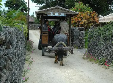 Taketomi Island, Okinawa