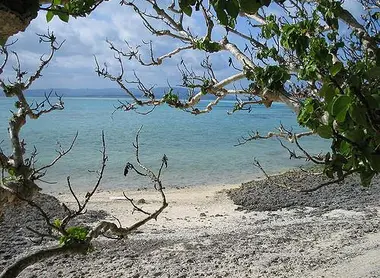 Plage de Taketomi  Plage de Taketomi
