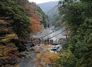 Un des ponts en lianes de vigne de la vallée d'Iya.