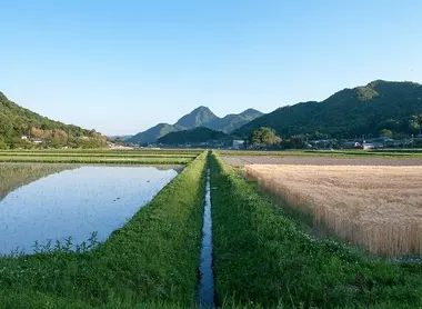 Un paysage typique du concept de Satoyama.