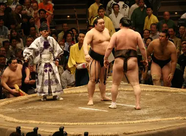 Sumo Sumo