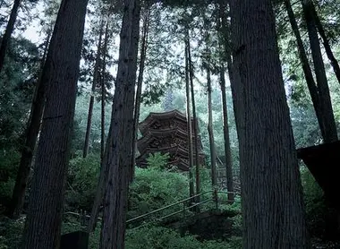 La pagode du temple Anrakuji à Bessho Onsen, depuis les bois autour du temple.