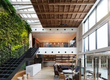 Salle de restaurant et son mur végétalisé