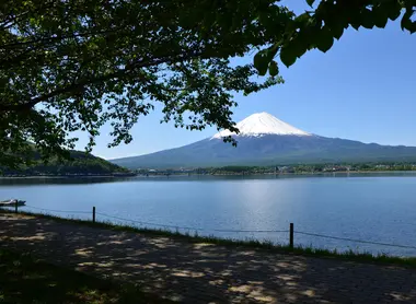 Promenade le long du lac sur la rive nord
