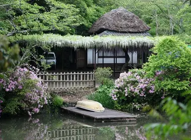 La beauté du Mifuneyama, son mac et sa glycine. La beauté du Mifuneyama, son mac et sa glycine.