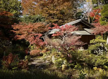 Maison de thé dans le jardin du musée Nezu Maison de thé dans le jardin du musée Nezu