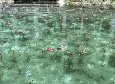 Une belle vue sur l'étang de Nemichi.