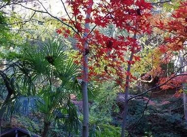 La belle vallée de La vallée Todoroki à l'automne.