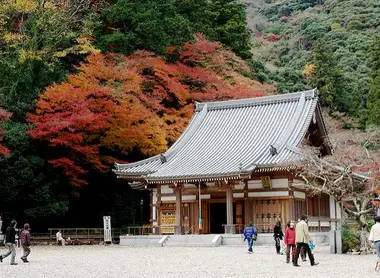 Temple Ryuan-ji, parc de Minoh