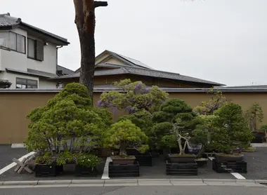 L'entrée d'une pépinière à Omiya